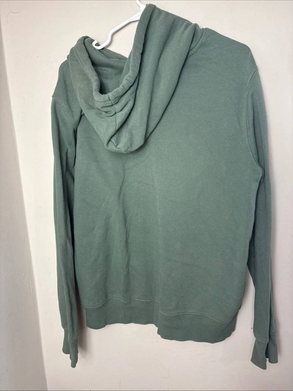 The North Face Men's Sage Green Bear Graphic Crewneck Hoodie